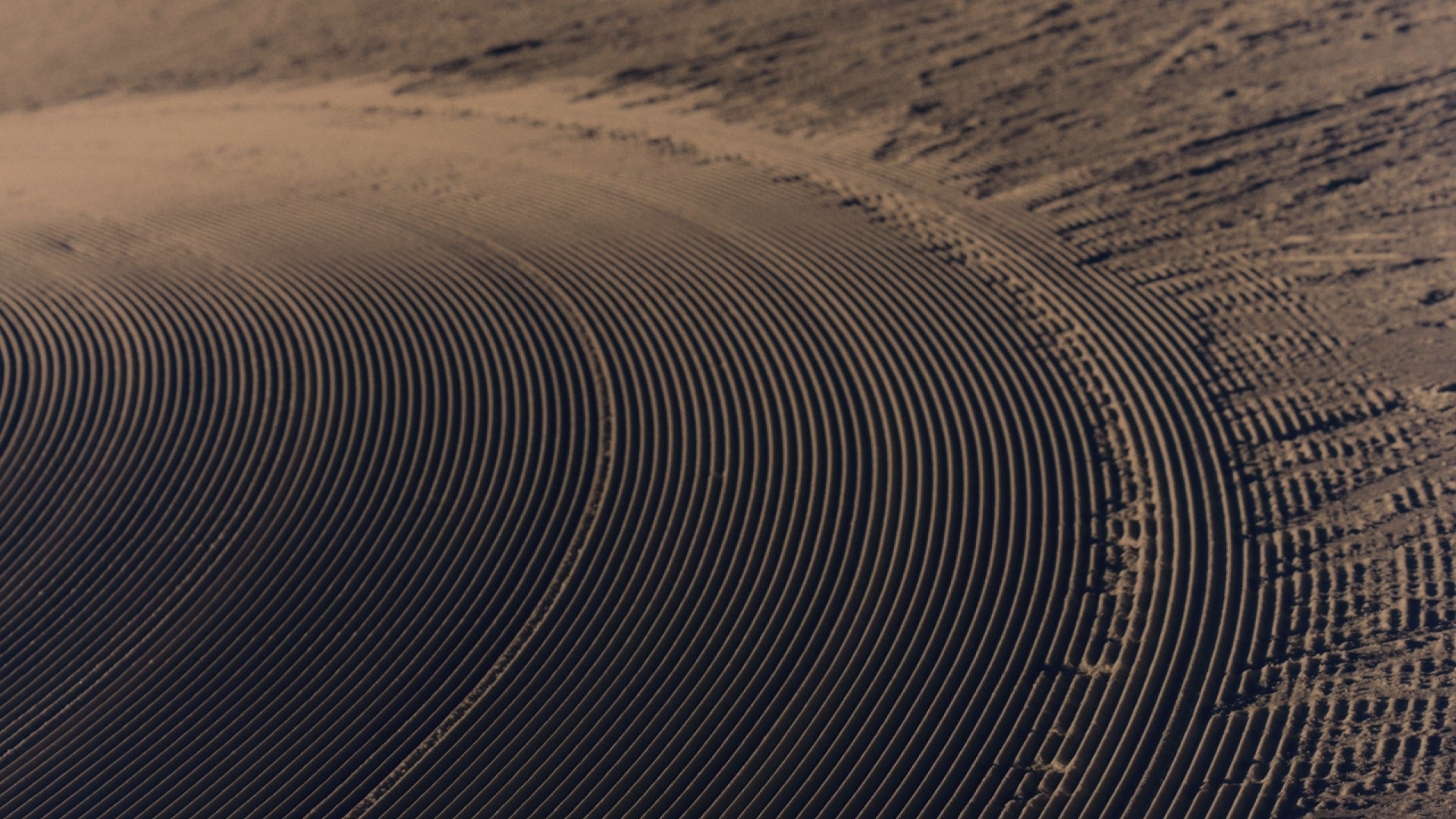 How agentic commerce is reshaping customer journeys 