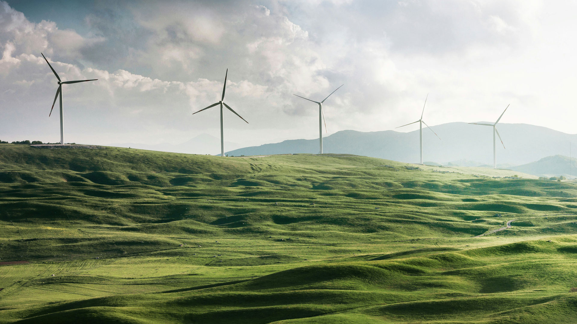 Five wind turbines in a lush, green field.